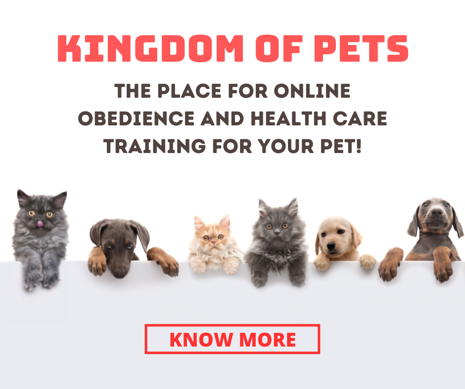Kingdom of Pets