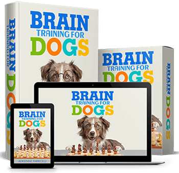 Happy dog learning new tricks with owner during brain training session