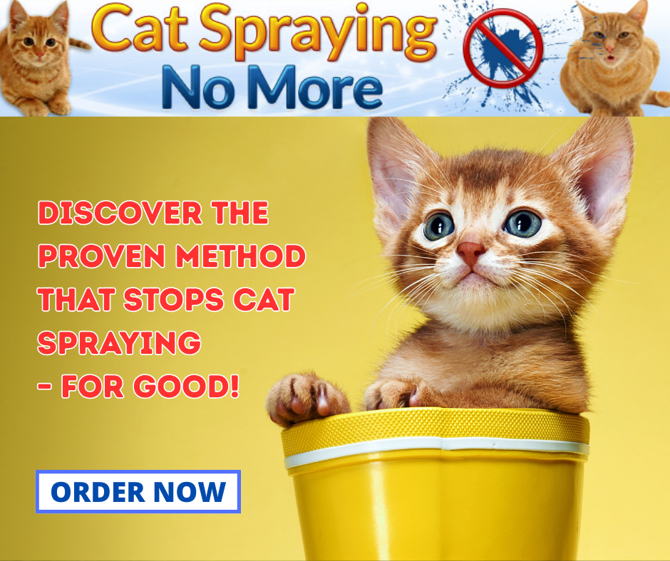Cat Spraying No More!