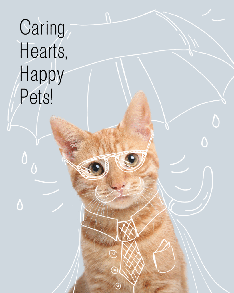 Various pets including a dog, cat, and rabbit surrounded by icons of grooming, food, toys, and training, highlighting CBPetWorld’s range of pet care offerings