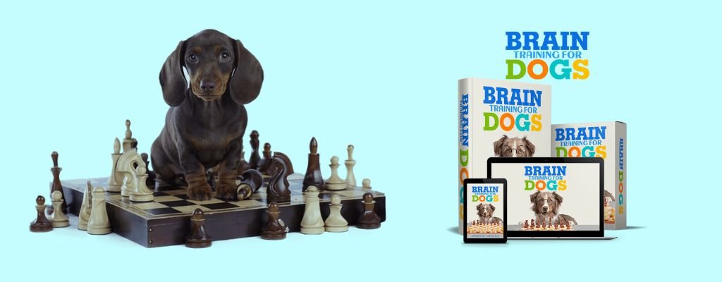 Happy dog playing brain training game with owner during a positive reinforcement dog training session