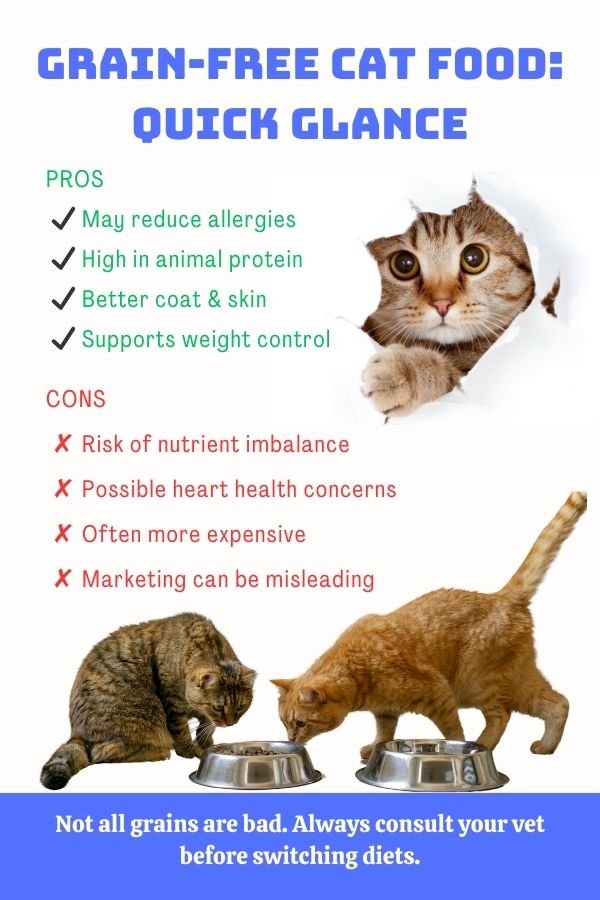 Visual summary of the pros and cons of grain-free diets for cats, highlighting benefits like reduced allergies and high protein, and concerns like nutrient imbalance and marketing hype.